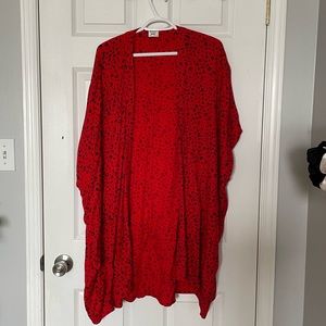 Sunday Best (Aritzia) red leopard print kimono